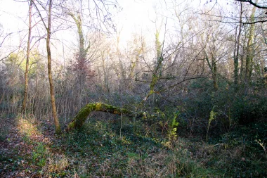 Parc Saint Albe de Gradignan (7).